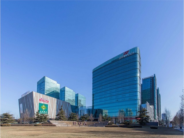 长治如心黄精茶